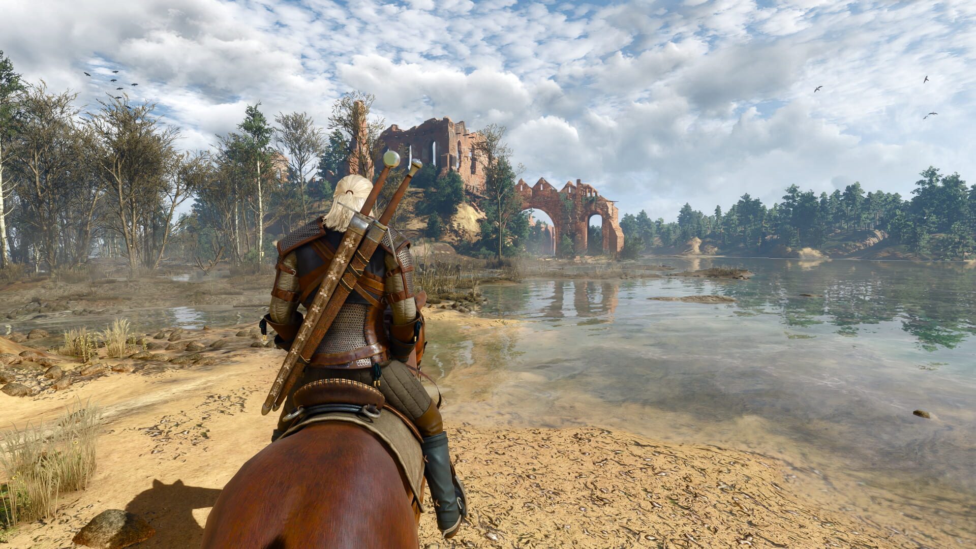 Captura de The Witcher 3: Wild Hunt