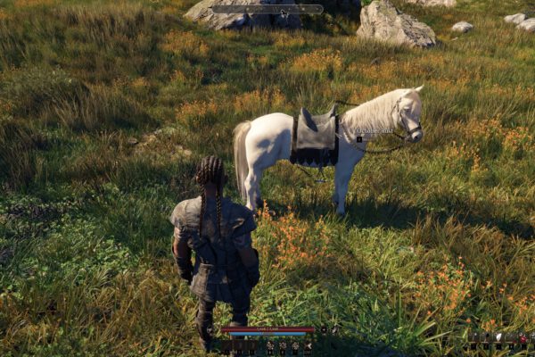 Un personaje junto a un caballo blanco con silla y alforjas en Pax Dei
